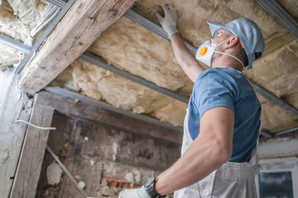 Best Residential Insulation in Ives Estates, FL