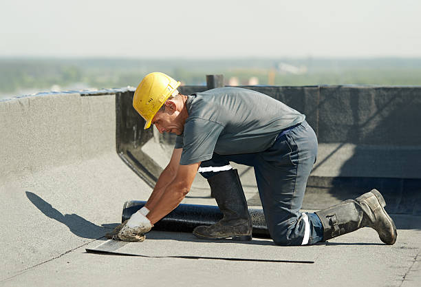Best Eco-Friendly Insulation in Ives Estates, FL