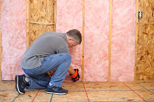 Types of Insulation We Offer in Ives Estates, FL